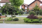 MG_5946