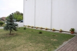 MG_5969